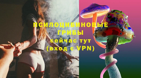 бошки Алексеевка