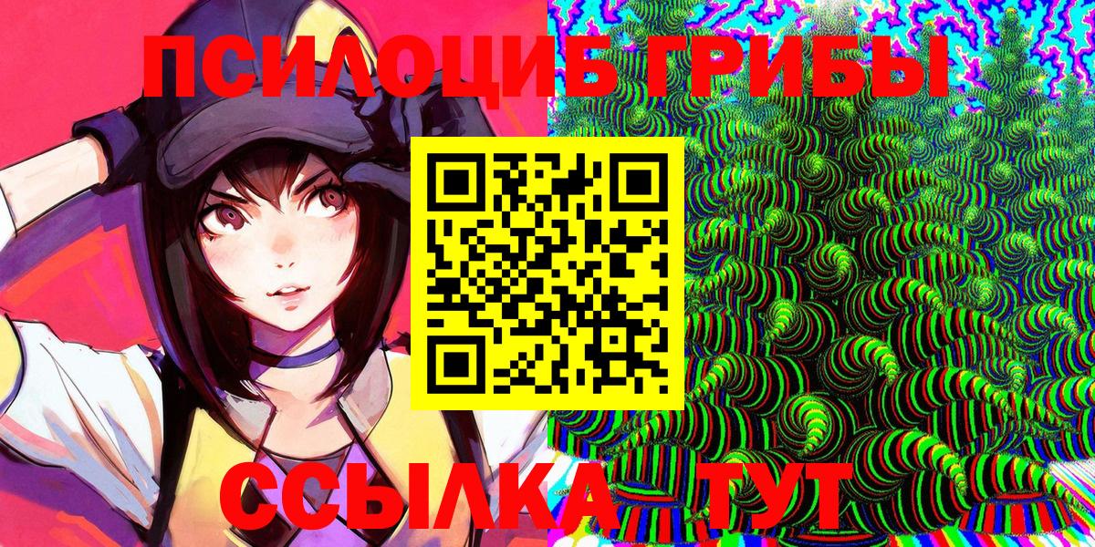 Псилоцибиновые грибы мицелий Апшеронск