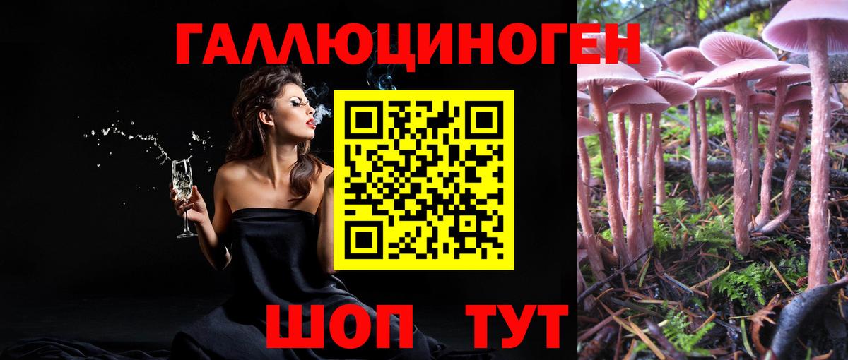 Псилоцибиновые грибы MAGIC MUSHROOMS  Галлюциногенные грибы Magic Shrooms  Апшеронск  Вход с VPN 
